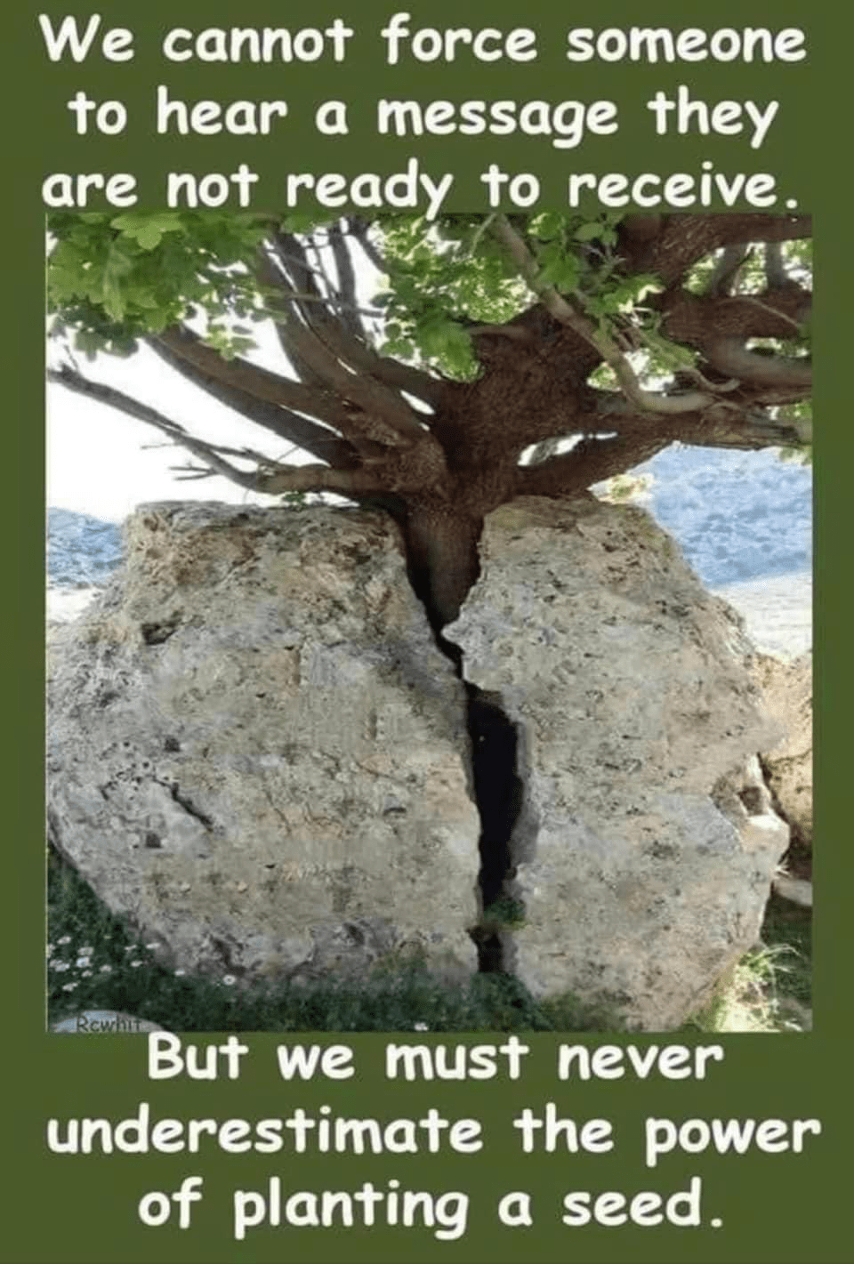 1-21-2024 Payson 10th Ward&nbsp;Missionaries