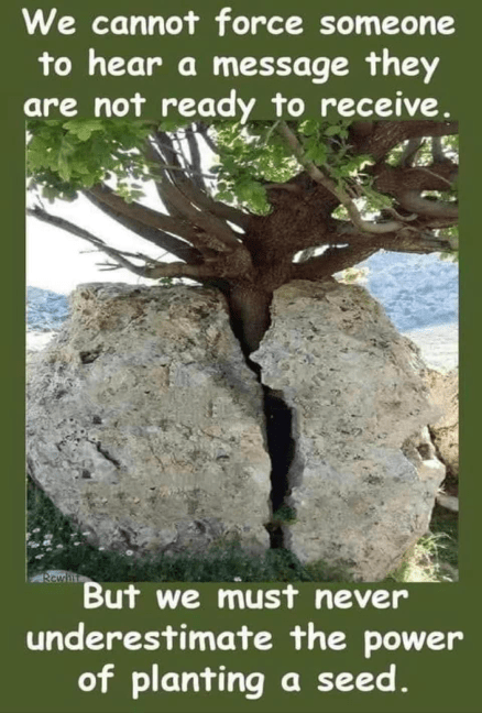 This image has an empty alt attribute; its file name is picture1.png-tree-missionary.png